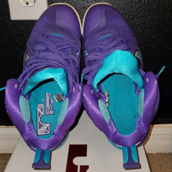 Lebron 9 Hornets, size 8.5 - Picture 4 of 5